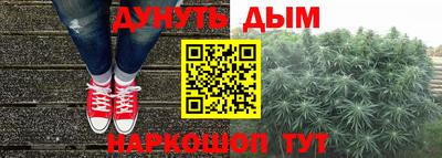 ГАЛЛЮЦИНОГЕННЫЕ ГРИБЫ Камышлов