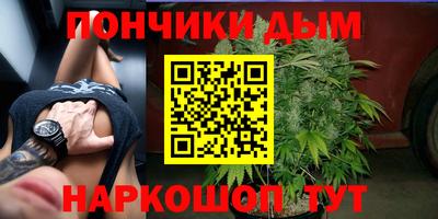 ГАЛЛЮЦИНОГЕННЫЕ ГРИБЫ Камышлов