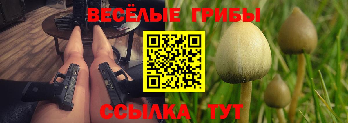 Чистополь  Псилоцибиновые грибы Psilocybine cubensis  Вход с VPN 